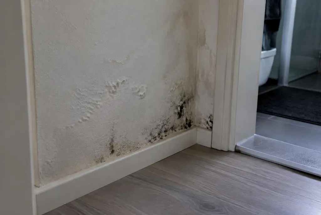 Lekdetectie Geldermalsen – vochtplek met schimmel op een muur